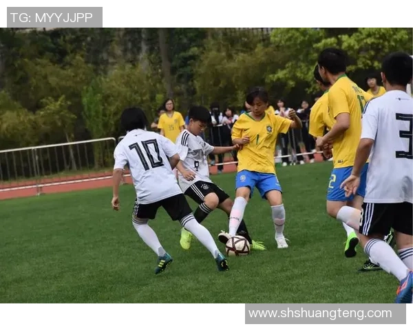 中国足球明星齐聚一堂合影留念展现团结与友谊的精彩瞬间